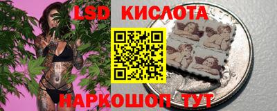 spice Кинель