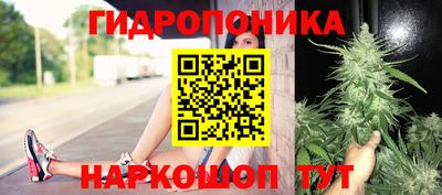 spice Кинель