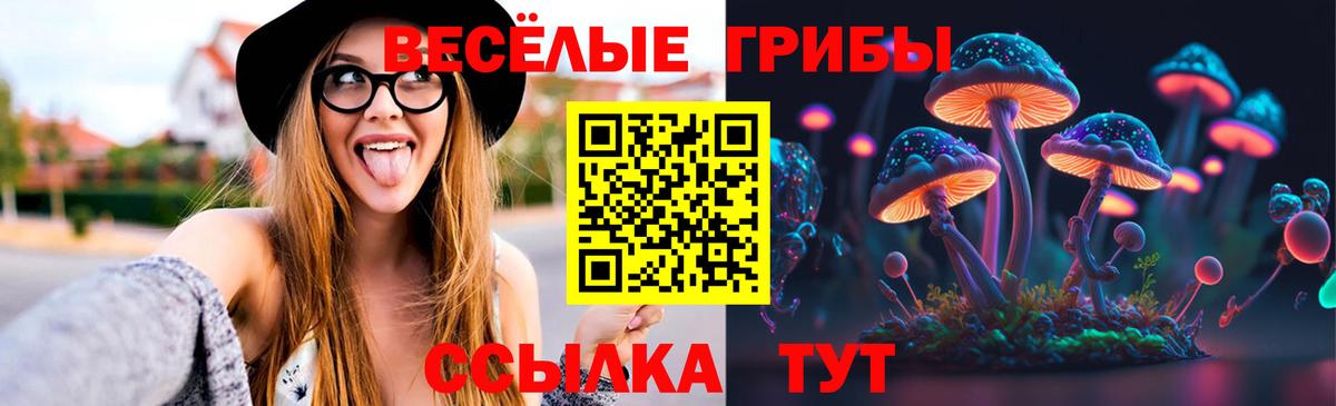 Псилоцибиновые грибы MAGIC MUSHROOMS Отрадный